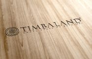 timbaland logo 2